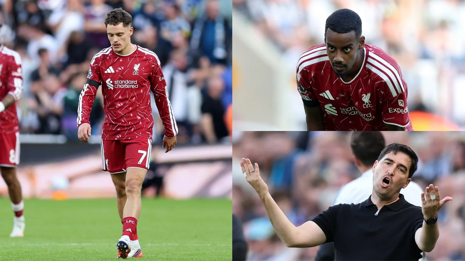 Newcastle 2-2 Liverpool highlights