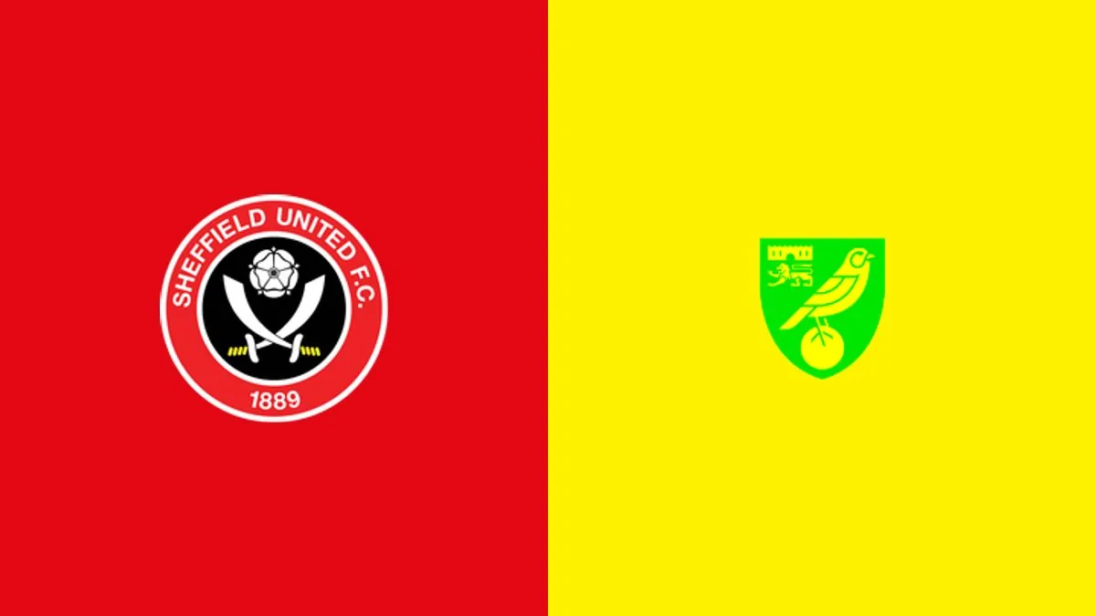 Sheff Utd 1-3 Norwich: Canaries end Blades' unbeaten start